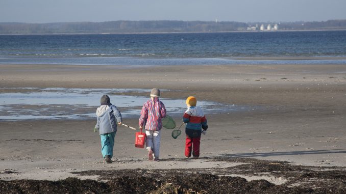 Mit dem Kescher an der Ostsee