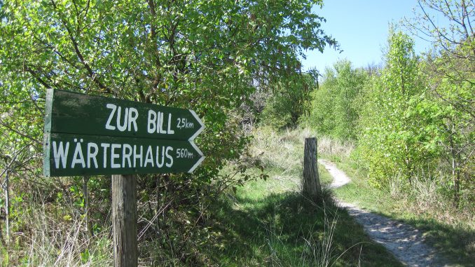 Schilder