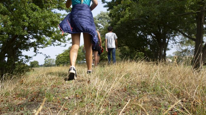 Wandern auf dem alten Deich