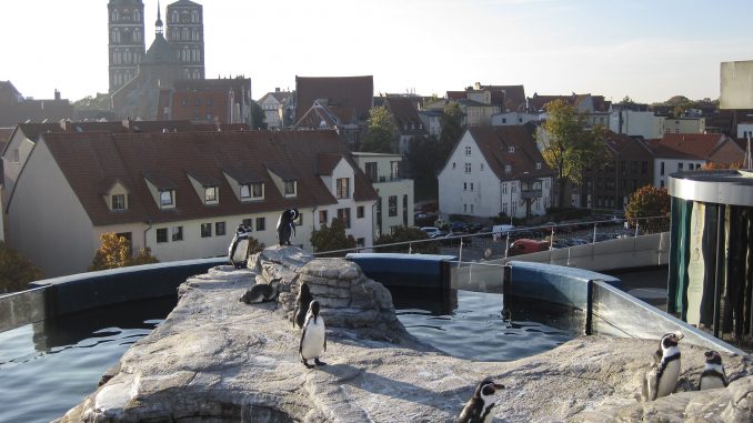 Ozeaneum Stralsund