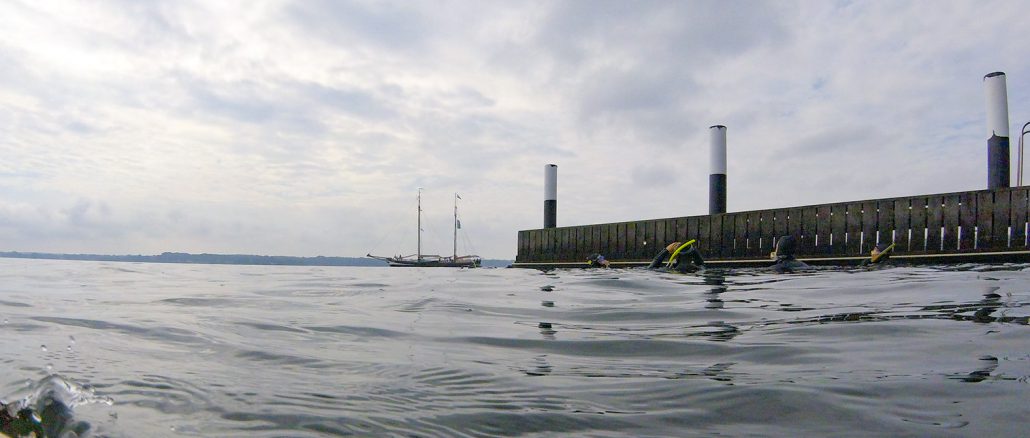 Schnorchelsafari in Kiel-Holtenau - Wr entdecken die Unterasserwelt der Ostsee