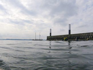 Schnorchelsafari in Kiel-Holtenau - Wr entdecken die Unterasserwelt der Ostsee