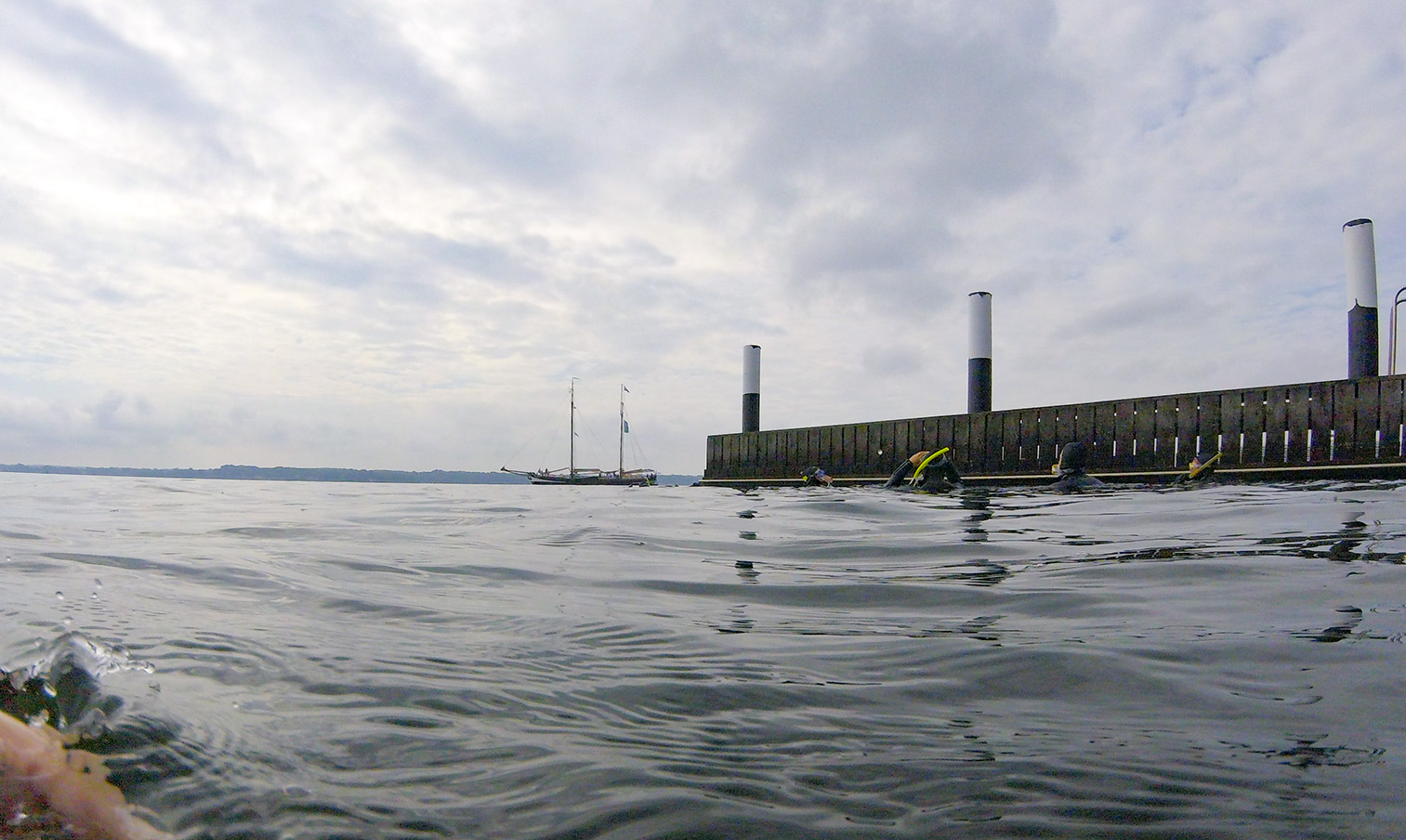 Schnorchelsafari in Kiel-Holtenau - Wr entdecken die Unterasserwelt der Ostsee