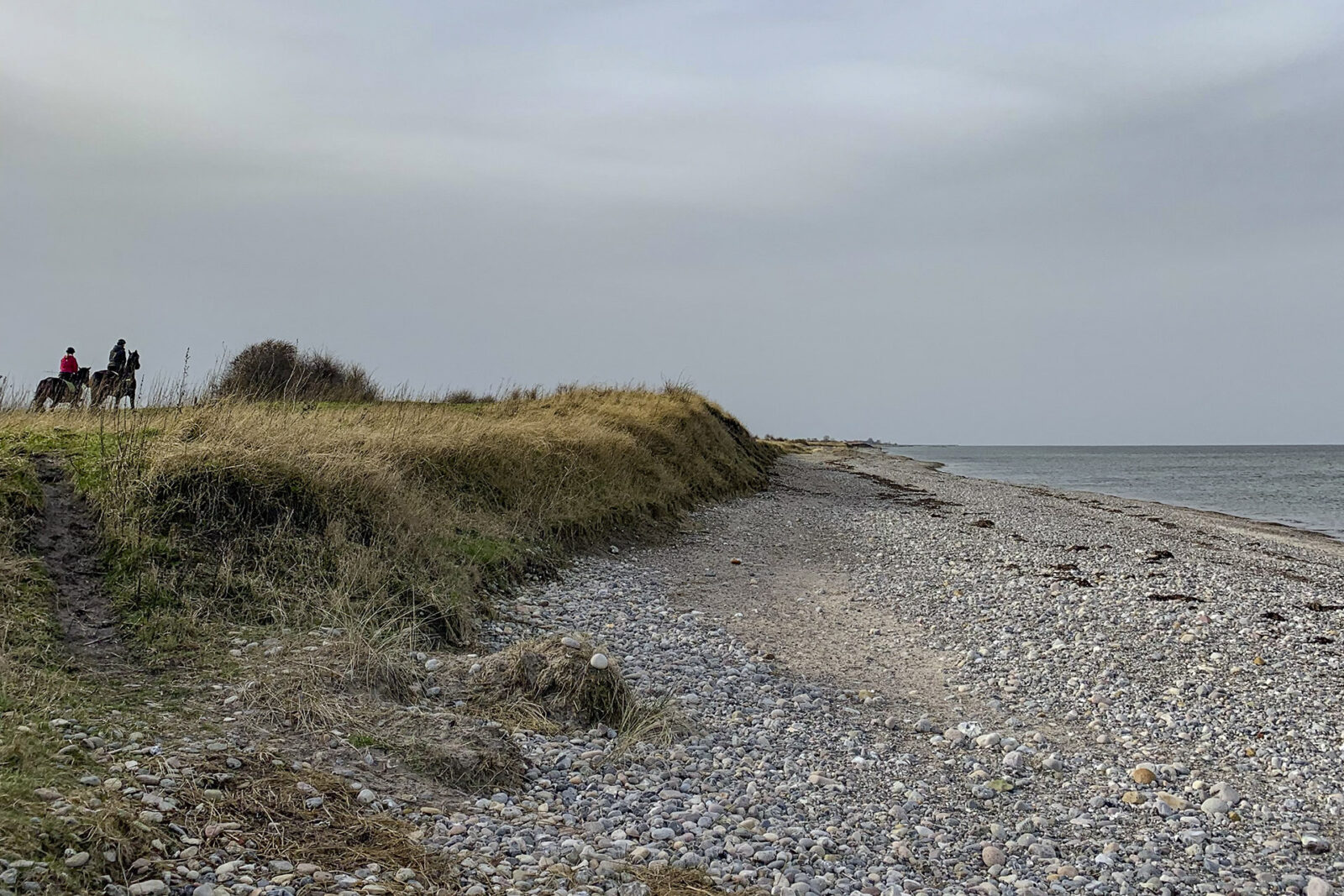 Hohenfelde Spazieren am Steinstrand Mein Meer das Familienmagazin
